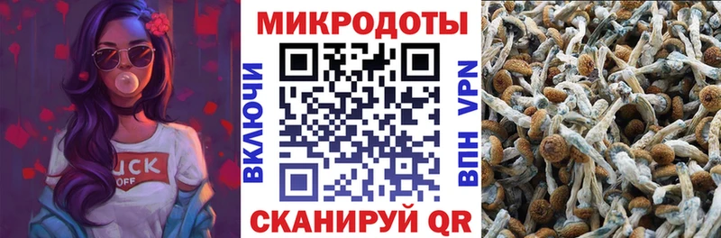 наркошоп  Белорецк  Псилоцибиновые грибы ЛСД 